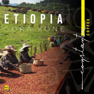 Cafea boabe Ethiopia Gora Kone