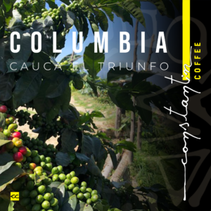 Cafea Boabe, 100% Arabica, Specialty Colombia Cauca El Triunfo, Constantin Coffee
