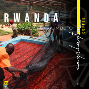 Cafea Boabe, 100% Arabica, Specialty Rwanda Muganza Gisagara Imbuto, Constantin Coffee