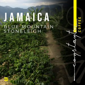 Cafea boabe, 100% Arabica, Specialty Jamaica Blue Mountain, Constantin Coffee